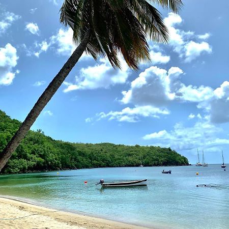 Chez Marie Andre Et Jeanne Apartment Grande Anse Bagian luar foto