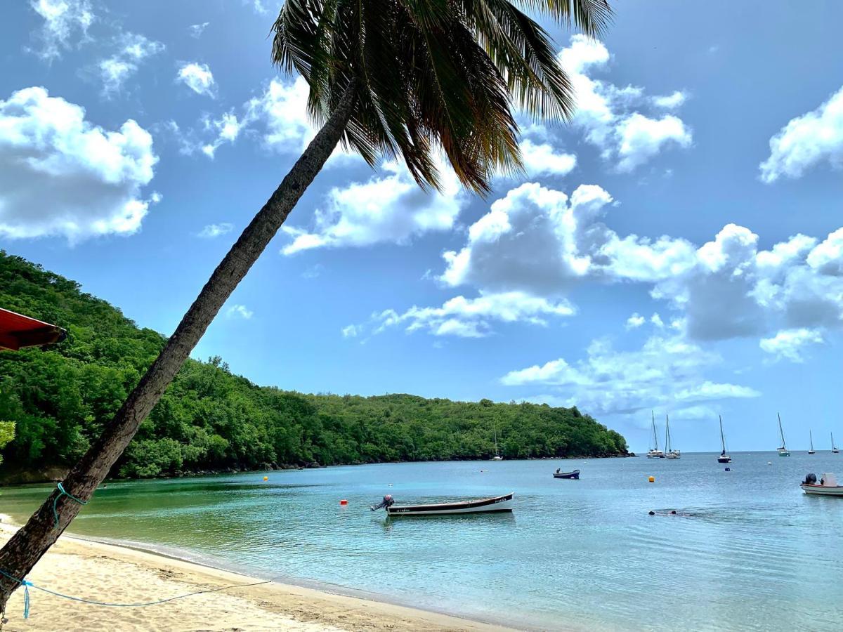 Chez Marie Andre Et Jeanne Apartment Grande Anse Bagian luar foto